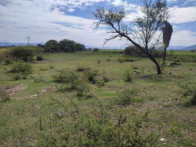 terreno en venta carretera a ameca labor de medina guachinango jalisco pVwUwUd