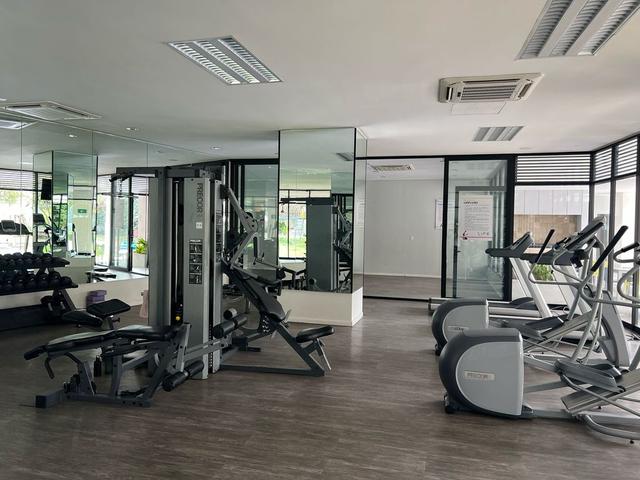Foto de la galeria de imagenes
